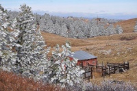 Frost near Rapid City.jpg
